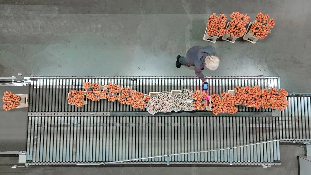 Specialisten van Florisoft in een sessie luisterend naar de wensen van de klant, waarbij alles geregistreerd wordt op een laptop onder het genot van een bak koffie of een glaasje water.